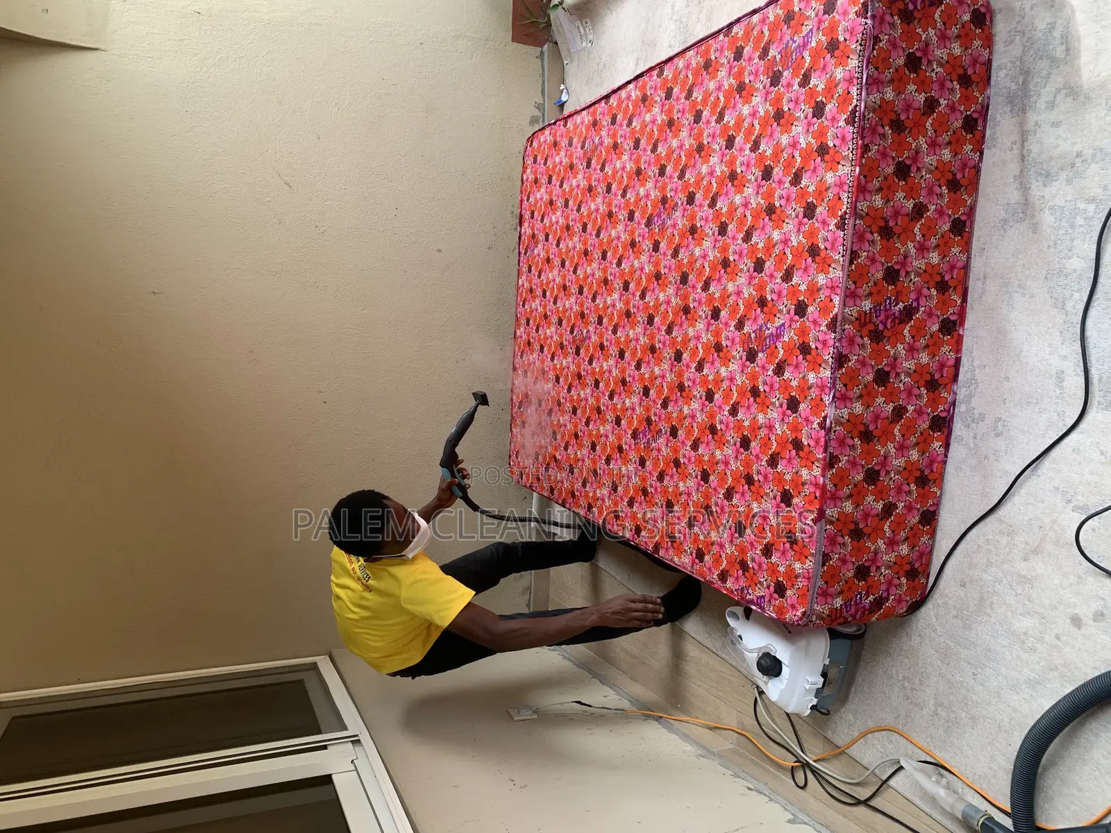Upholstery and Carpet Cleaning