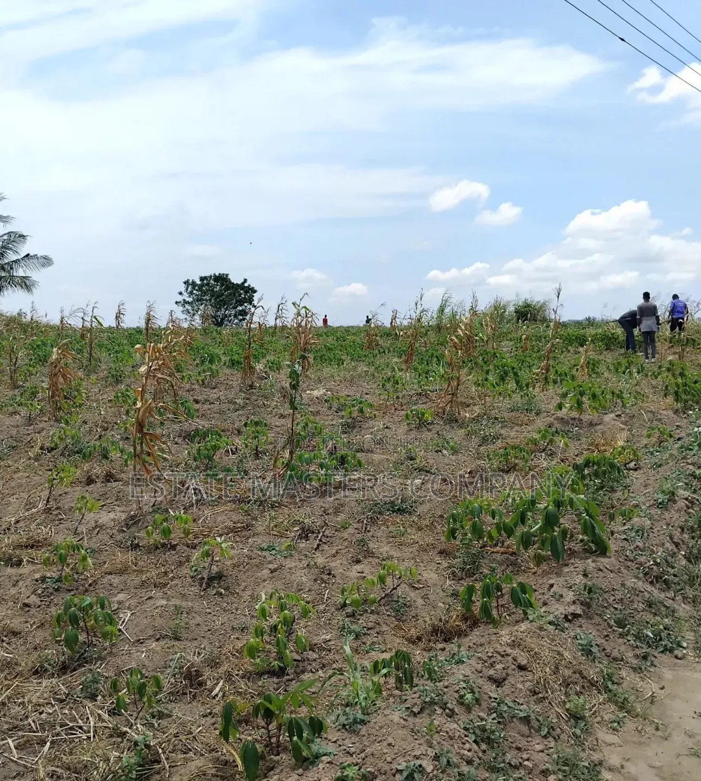 Monumental Land Available at Panfokrom