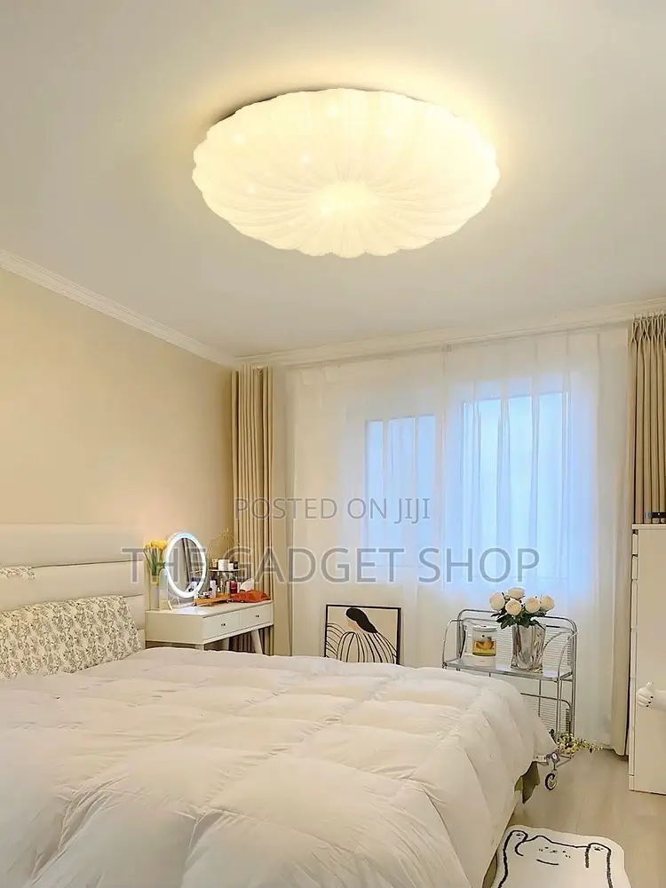 50cm Ceiling Light