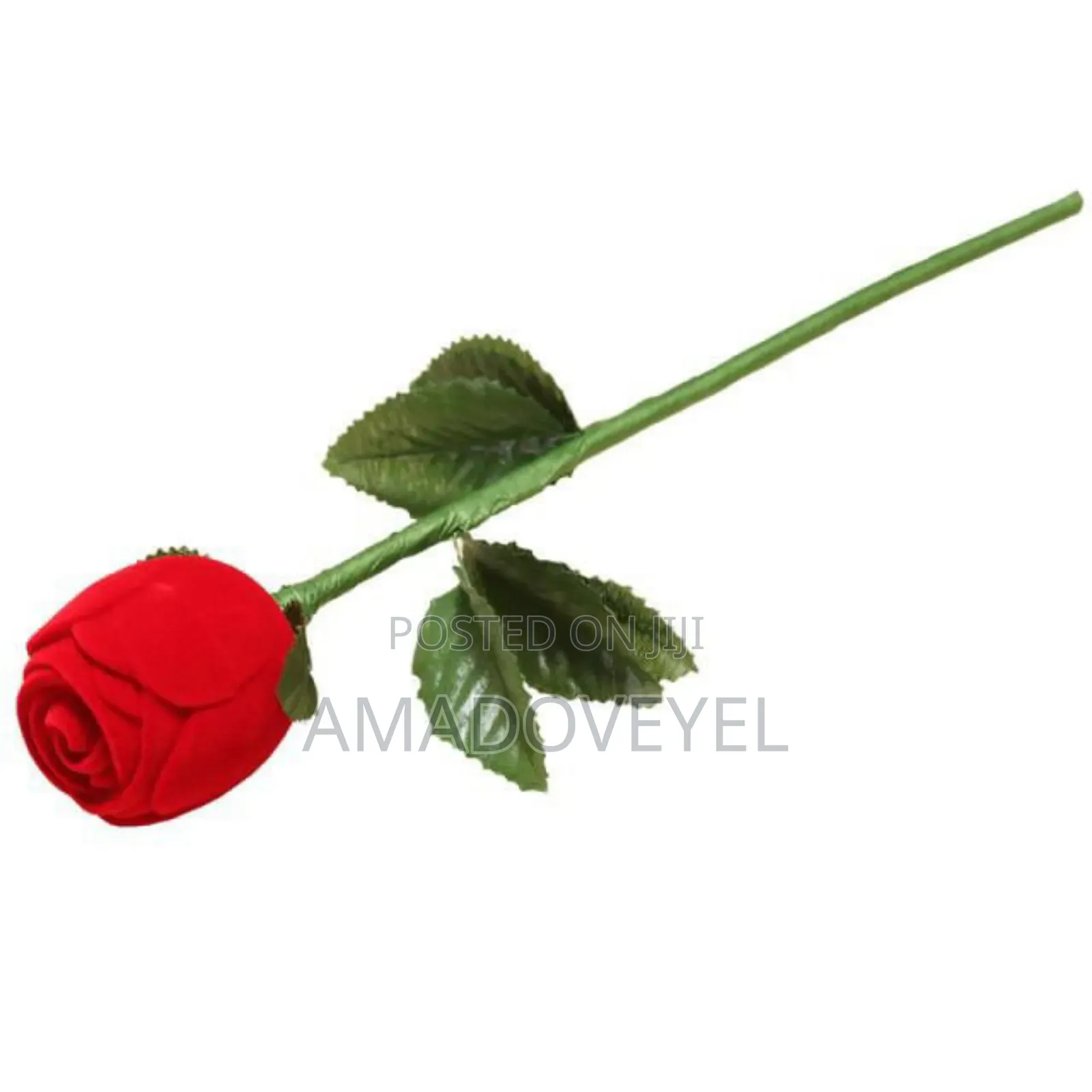 Romantic Ring Cases