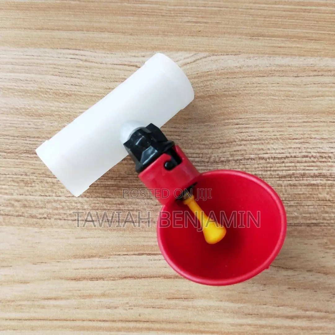 Chicken Nipple Withcup