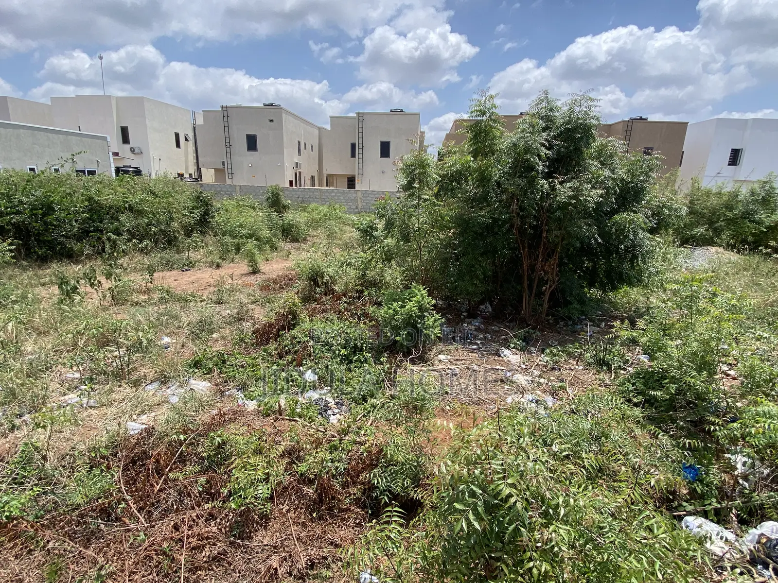 Land Titled/Registed