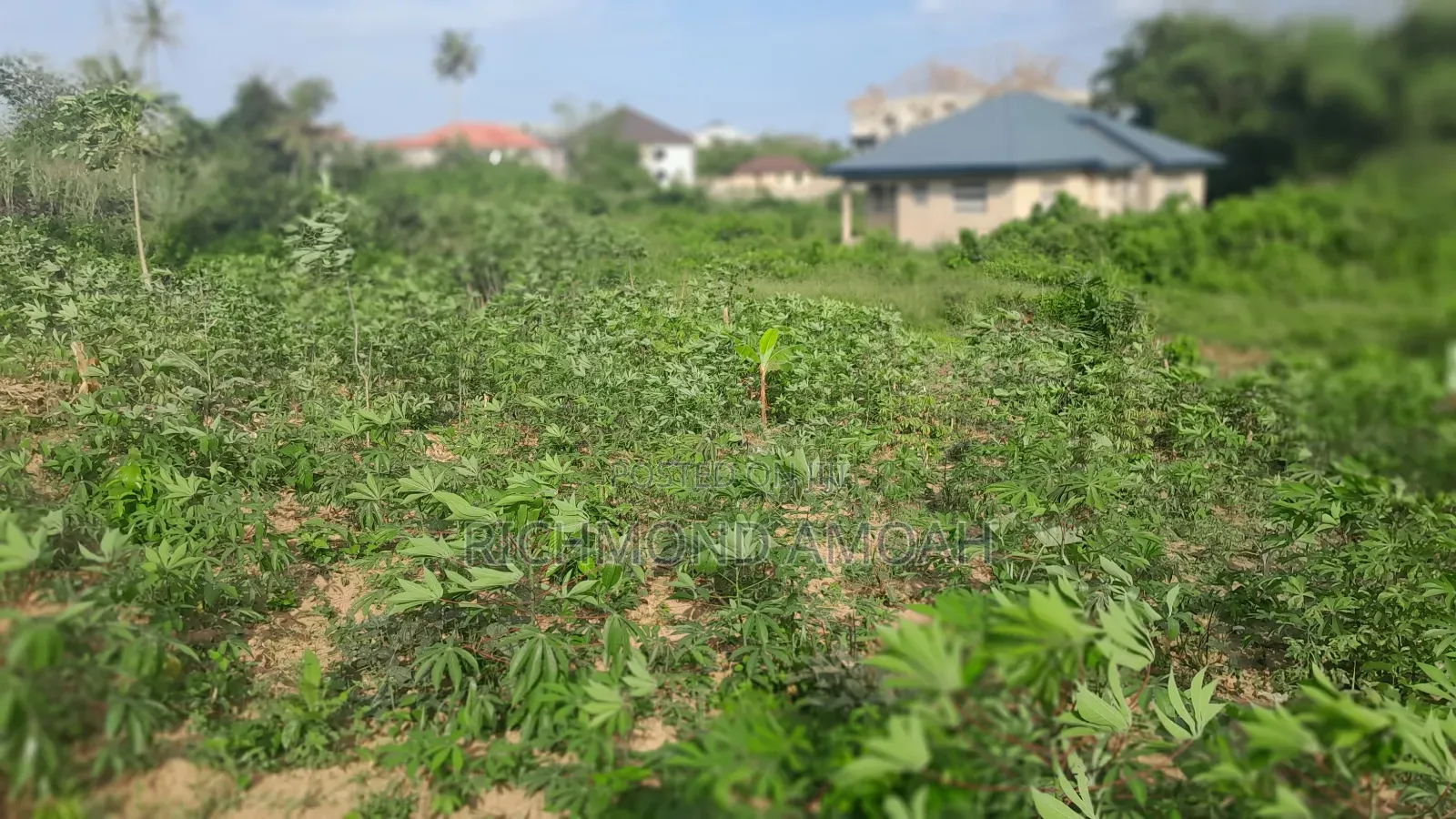 Half Plot for Sale at Nkroful _Karen