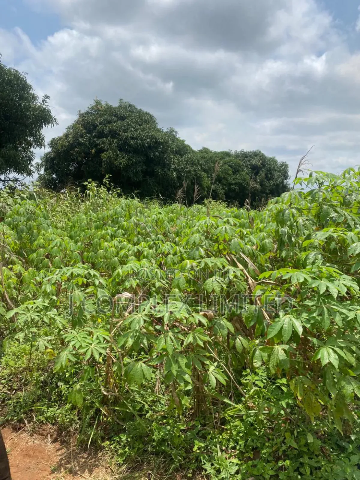 2 Plots for Sale at New Legon