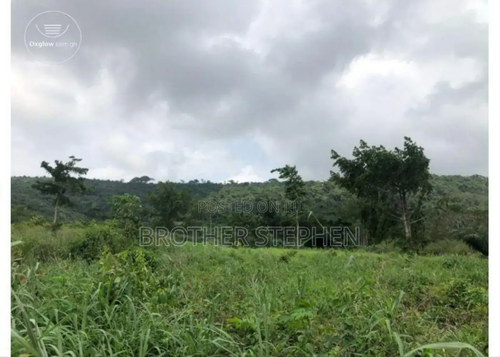 12,000 Acres Of Farmland For Sale At Asamankese.