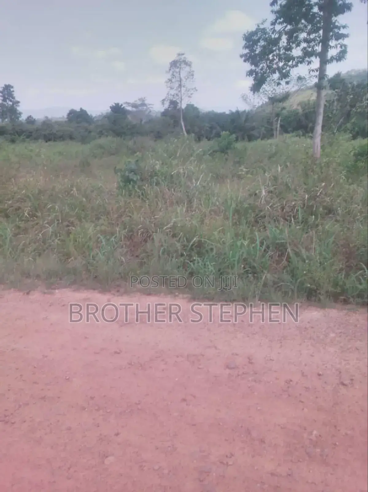 12,000 Acres Of Farmland For Sale At Asamankese.