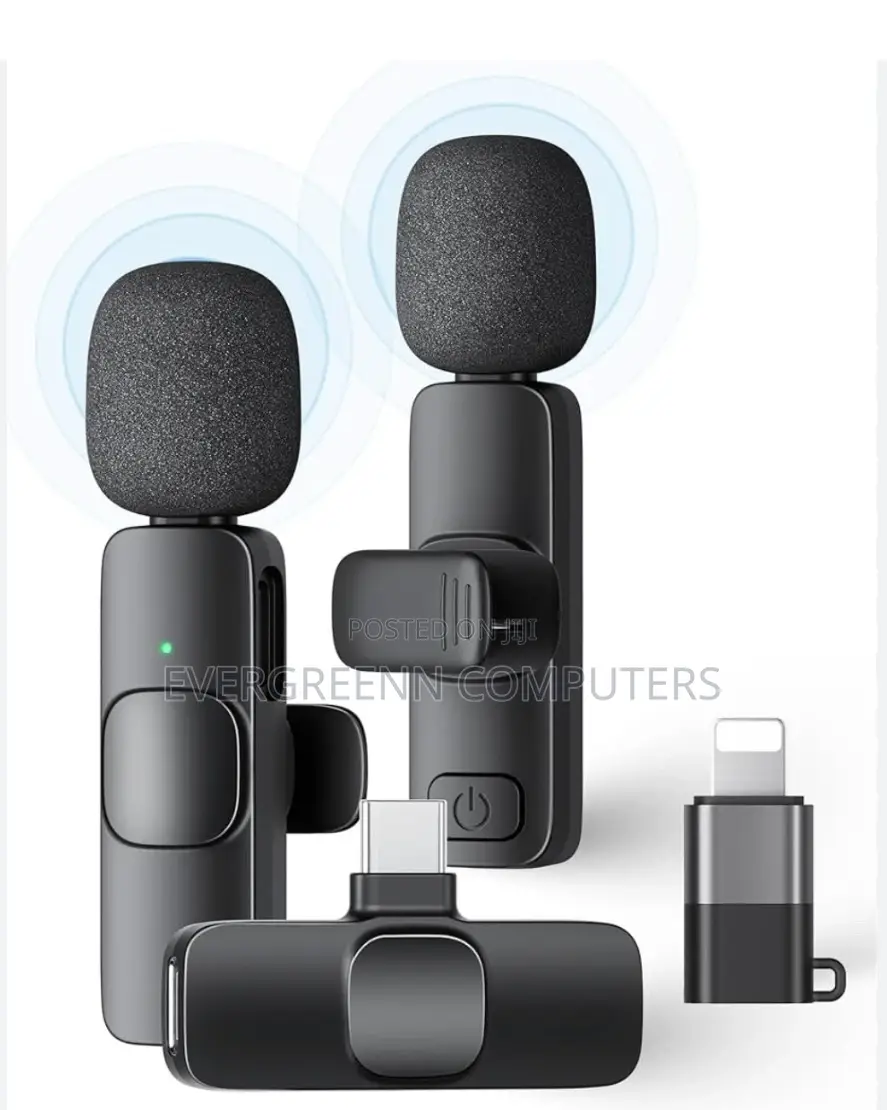 Phone Microphone