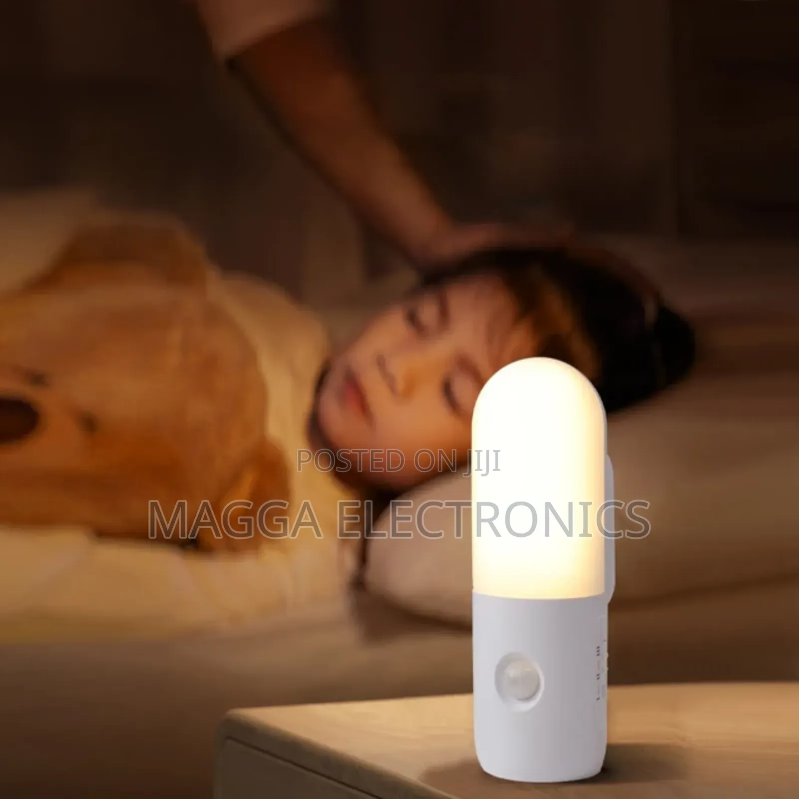 Rechargeable Induction Lights