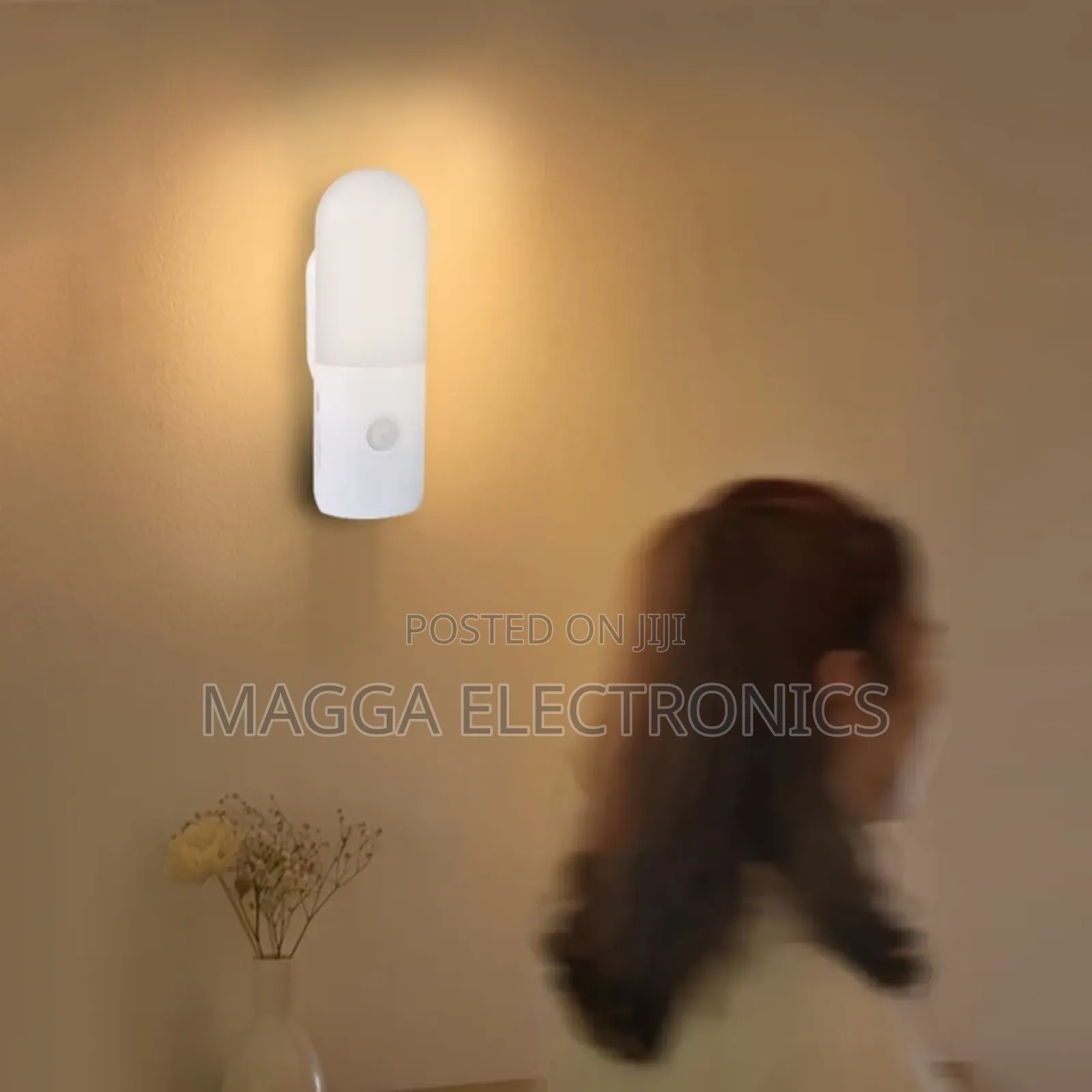 Rechargeable Induction Lights