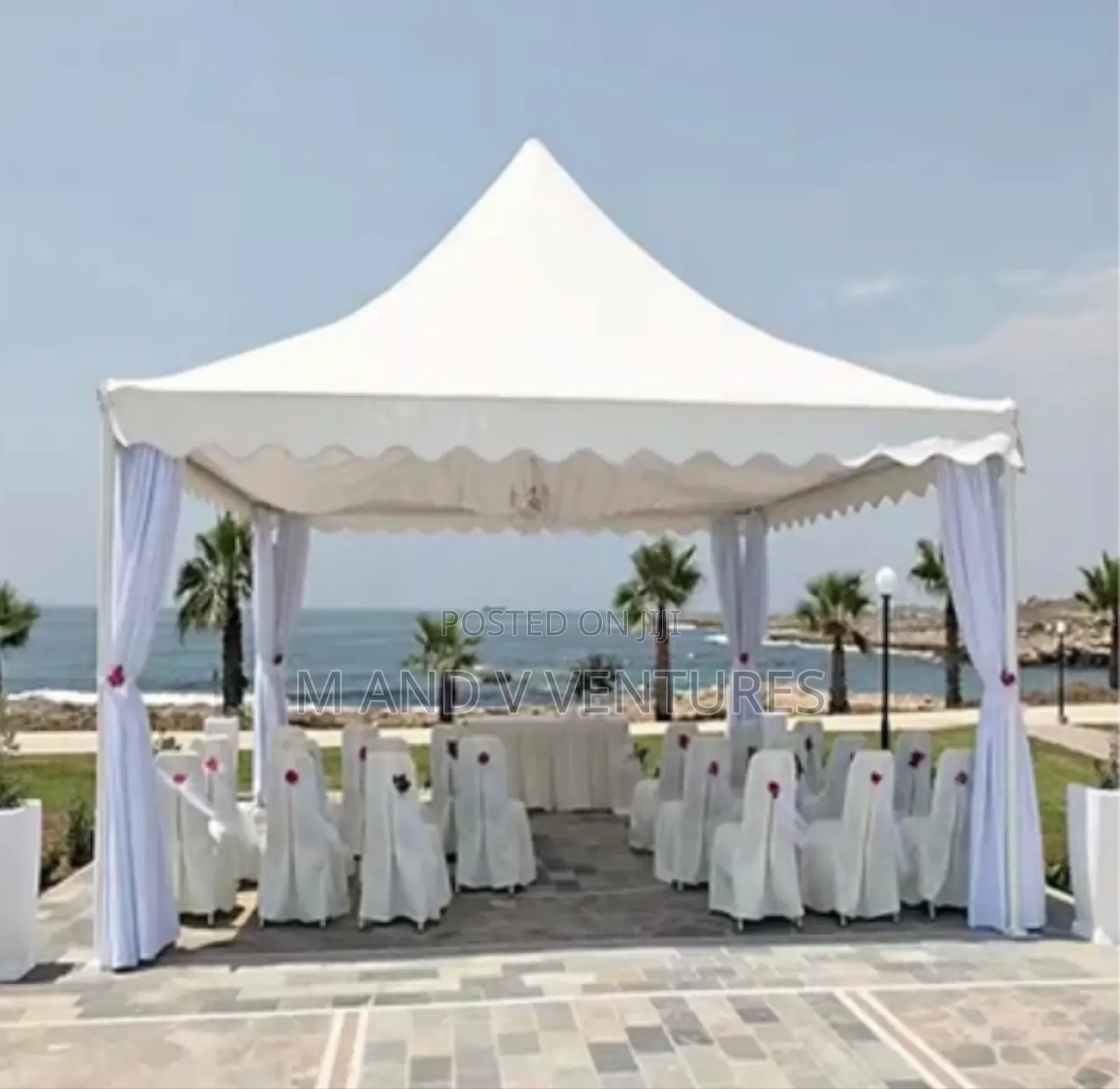 Canopy Tent
