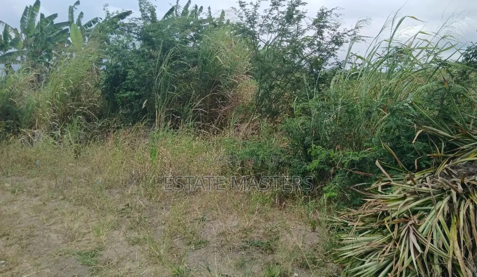 Grab a Litigation Free Land at Ningo