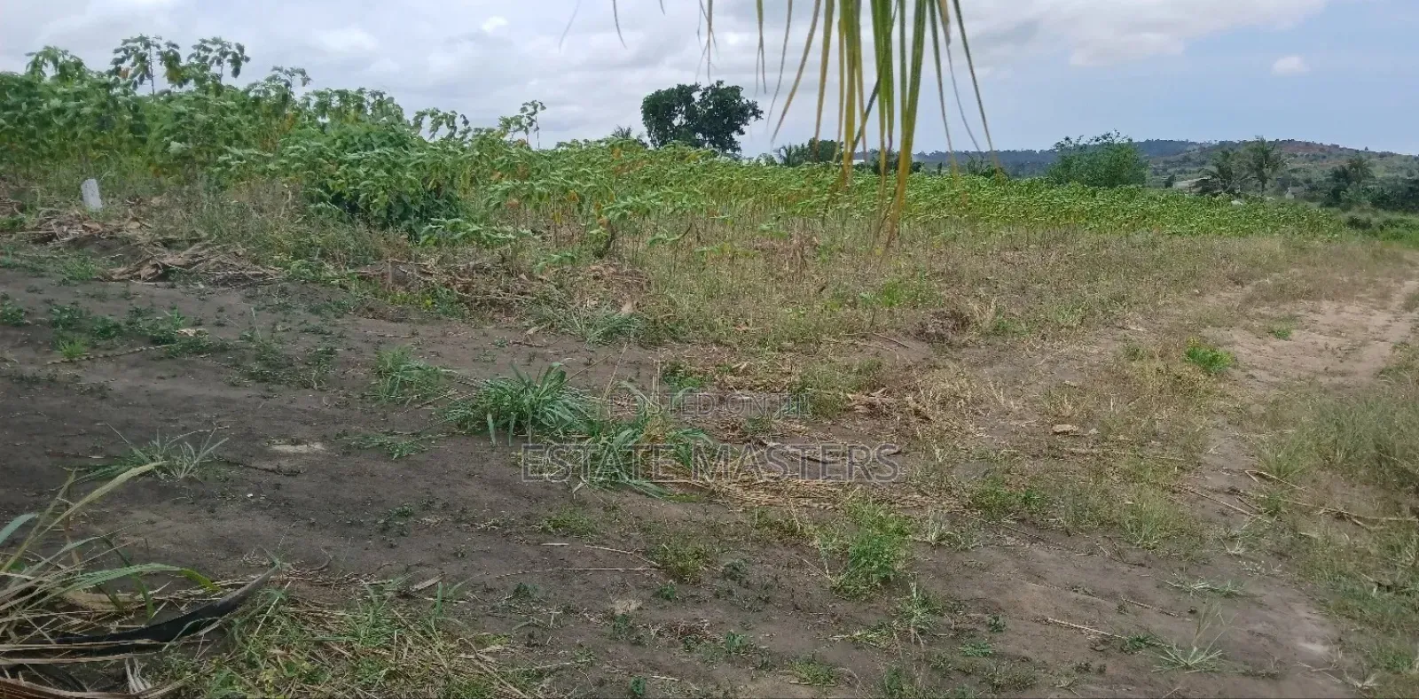 Service Plot of Land for Sale