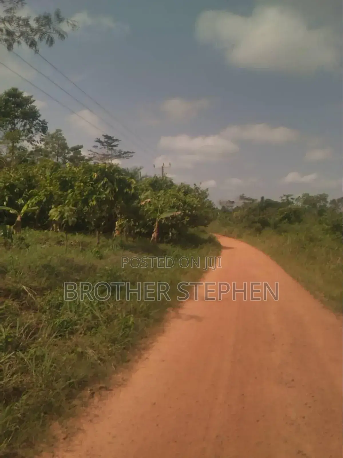 Farmland for Sale at Asamankese