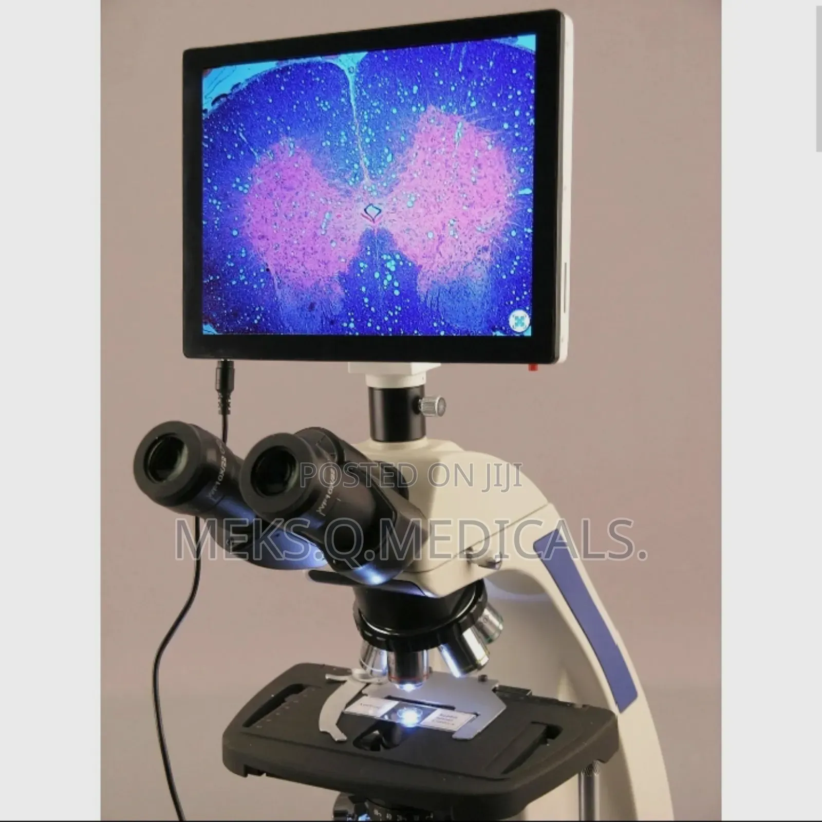 Microscope With Colored Screen