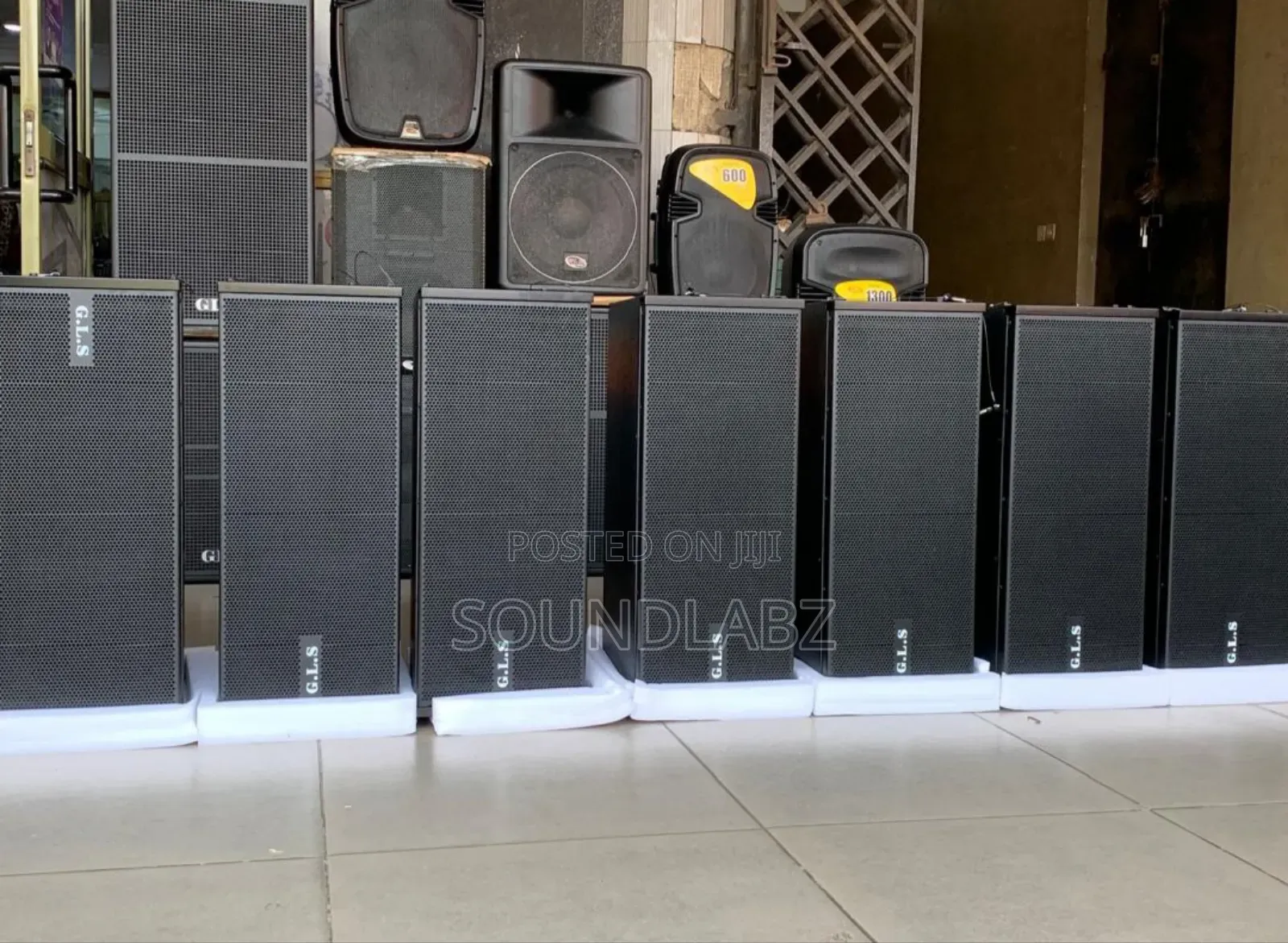 GLS 12inches Line Array Speakers