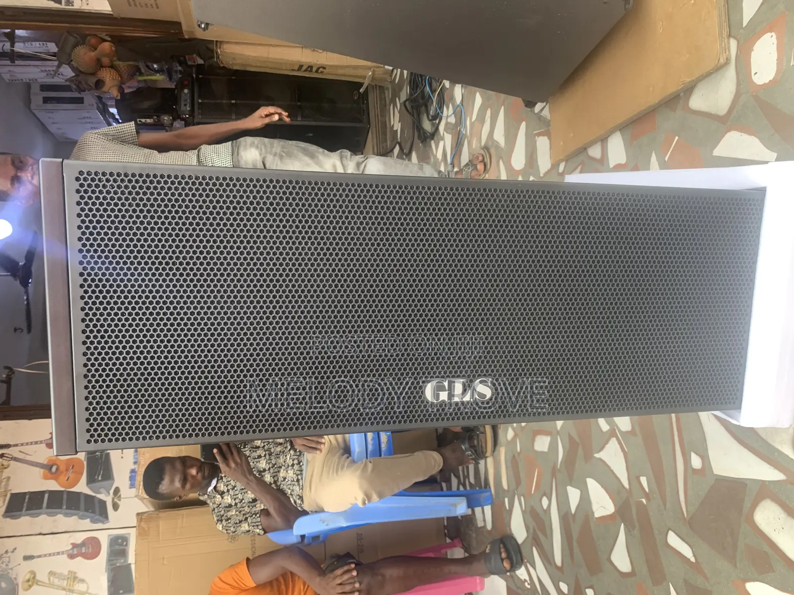 GLS 12inches Line Array
