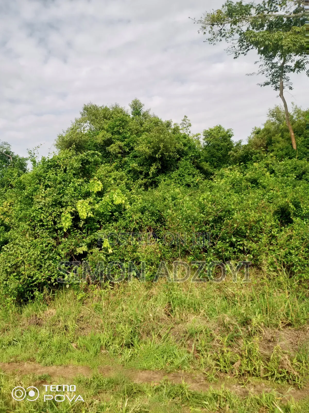 100 Acres Available for Sale