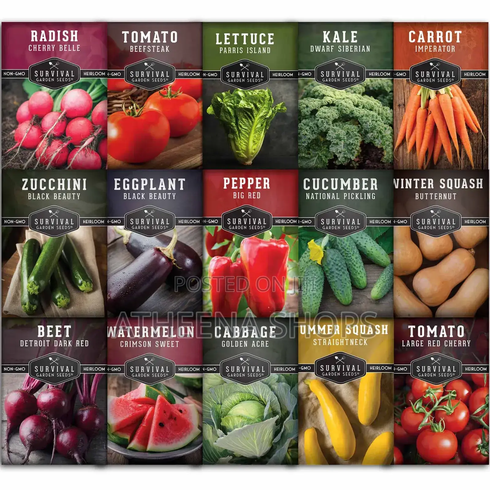 Vegetable Seeds for Sale Here