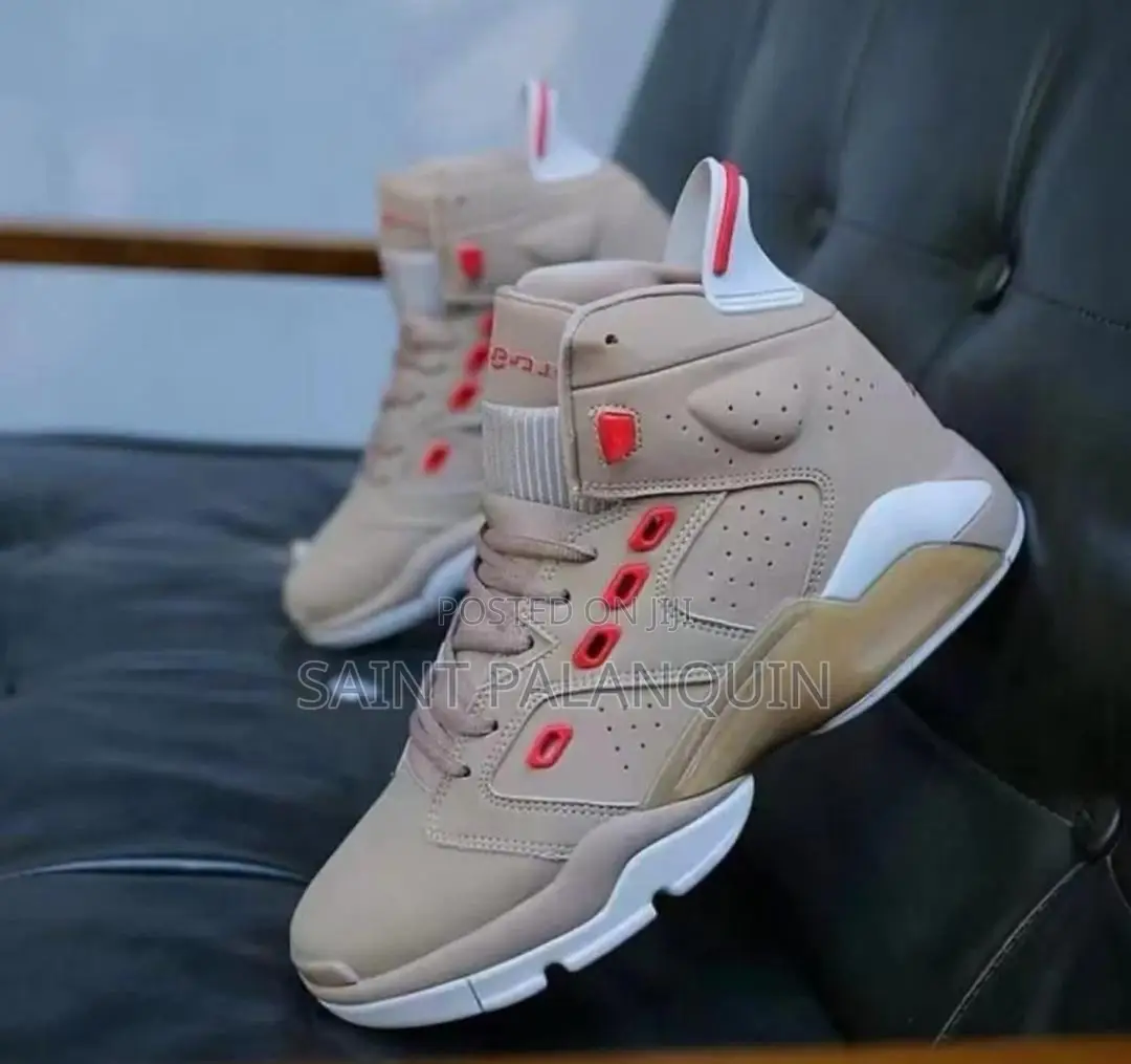 Air Jordan Sneaks