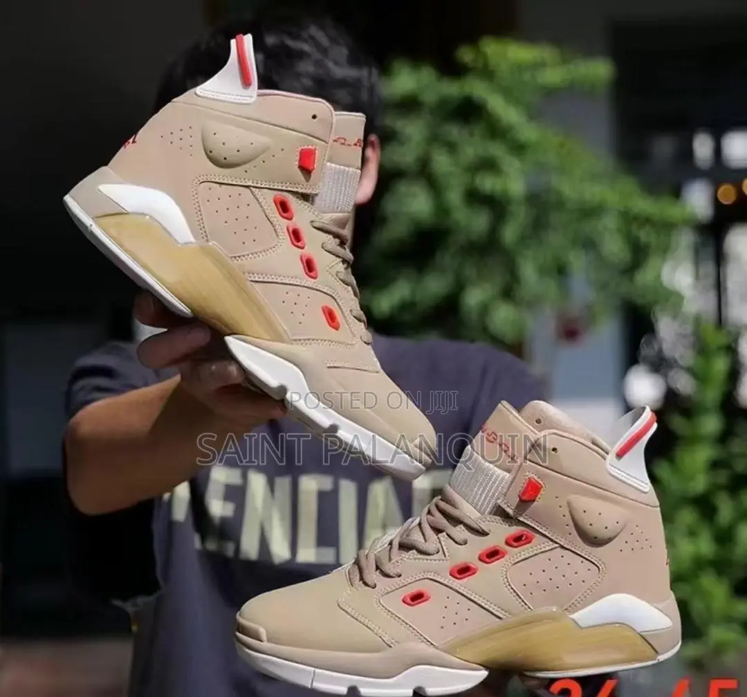 Air Jordan Sneaks