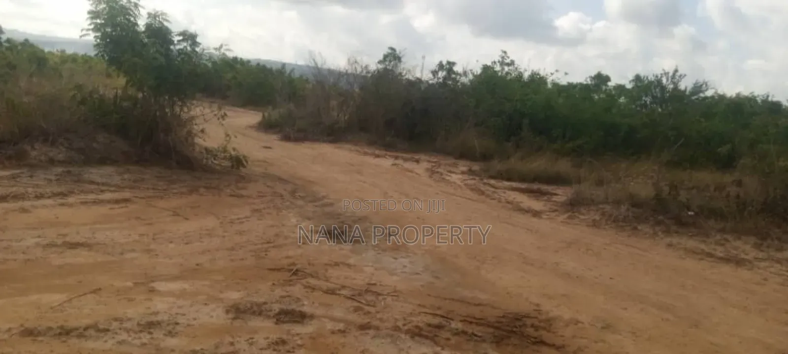 100 Acres of Land for Sale Located at Oyibi Saasabi Junction