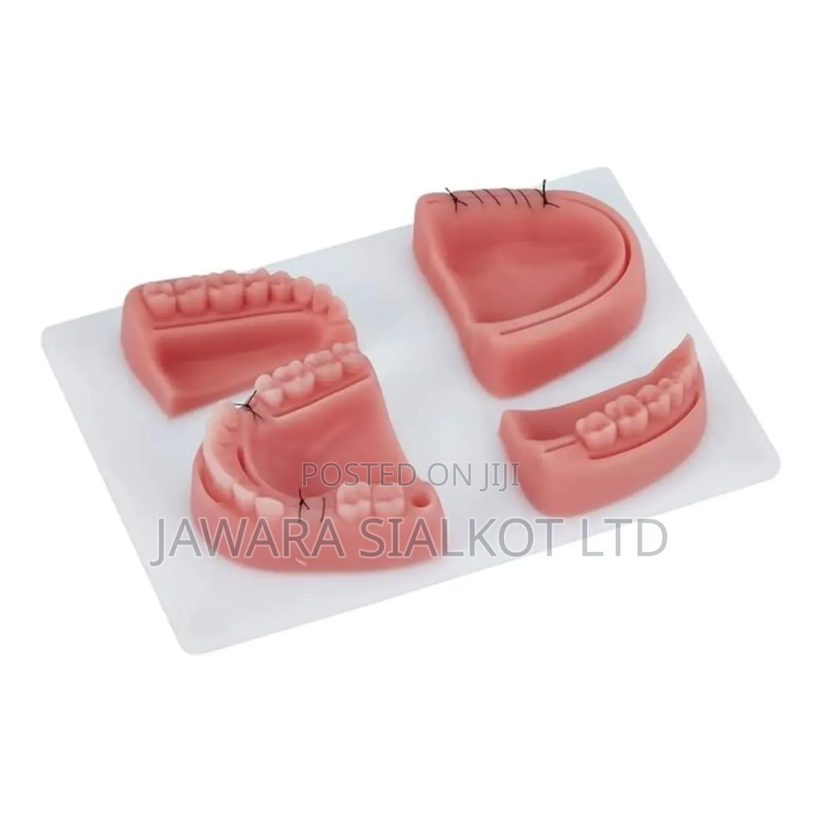Suture Practice Kit for Dental Students