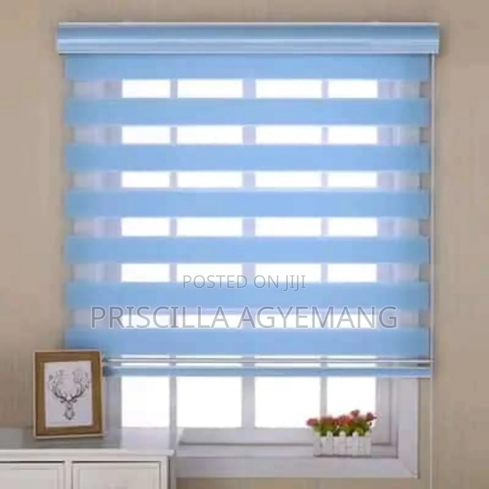 Beautiful Window Blinds