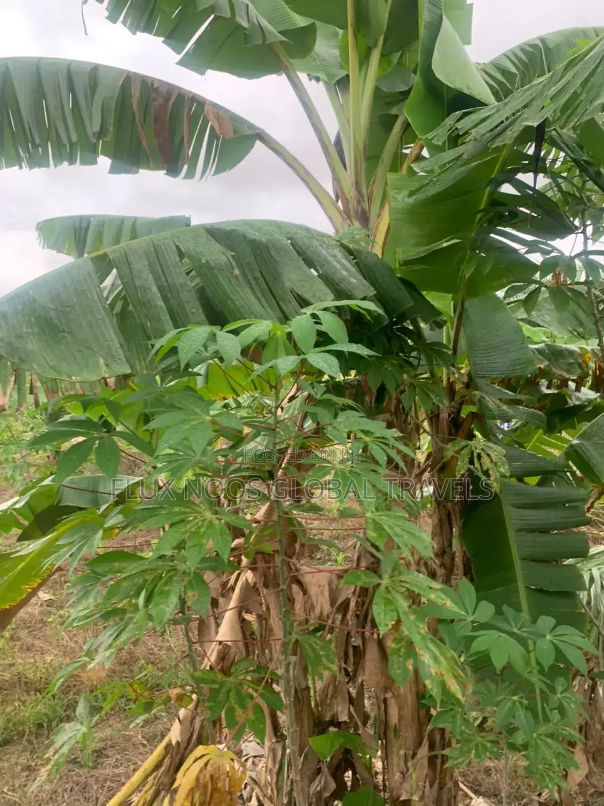 Titled and Fenced Land for Sale at Amasaman Ayikai Doblo