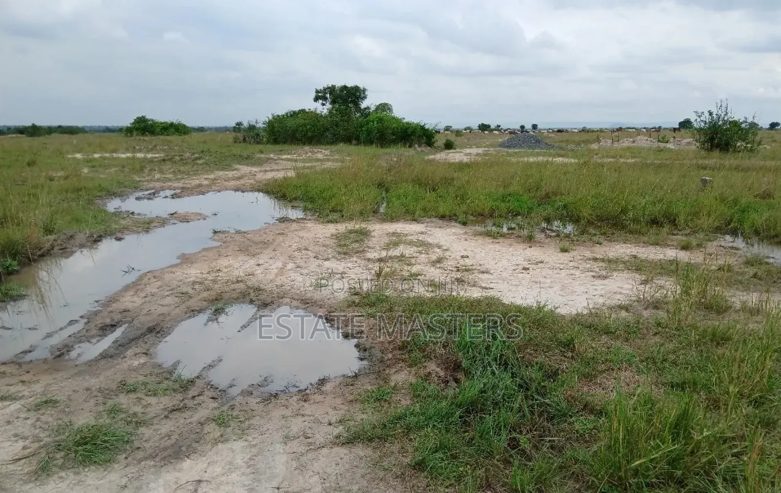 Grab a Litigation Free Land