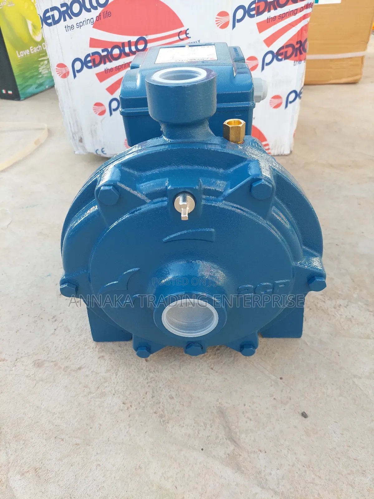 Pedrollo Water Pump