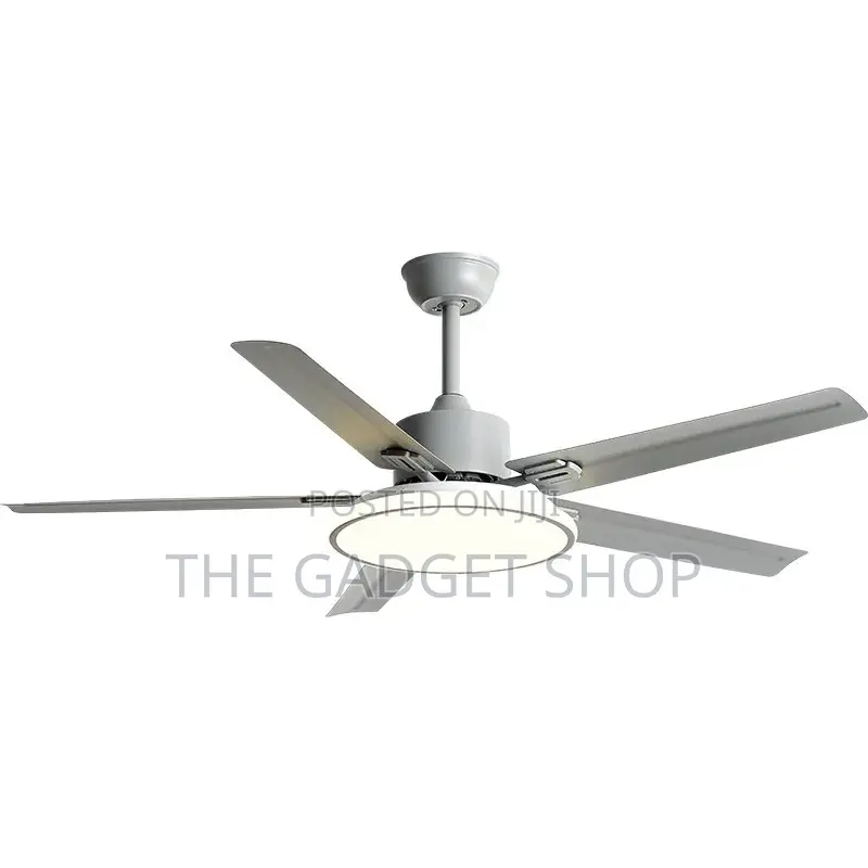 New Design Ceiling Fan