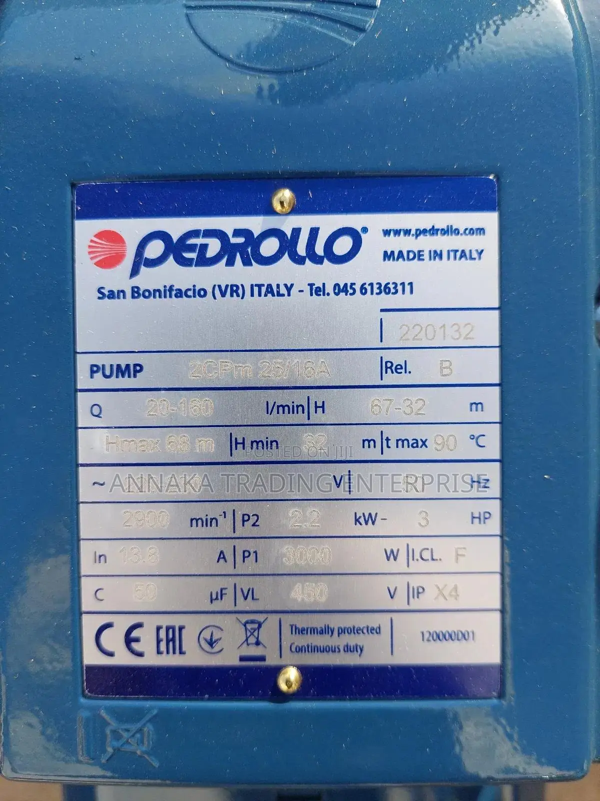 Pedrollo Water Pump