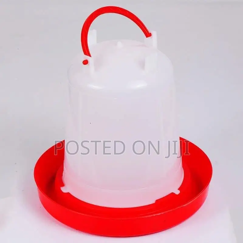 6L Drinker