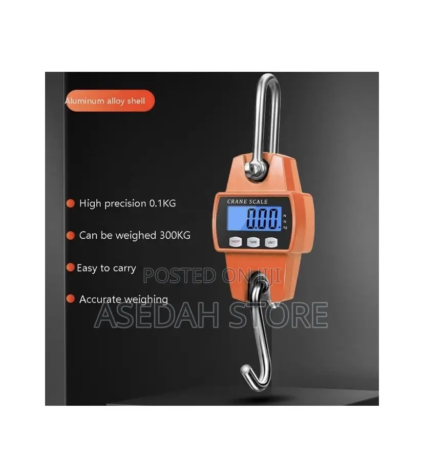 Portable Digital Electronic 300kg Mini Crane Scale