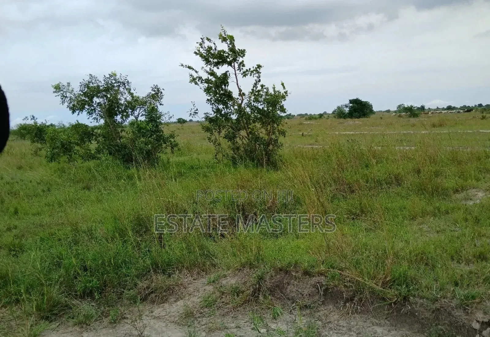 Own Your Dream Home Land Now