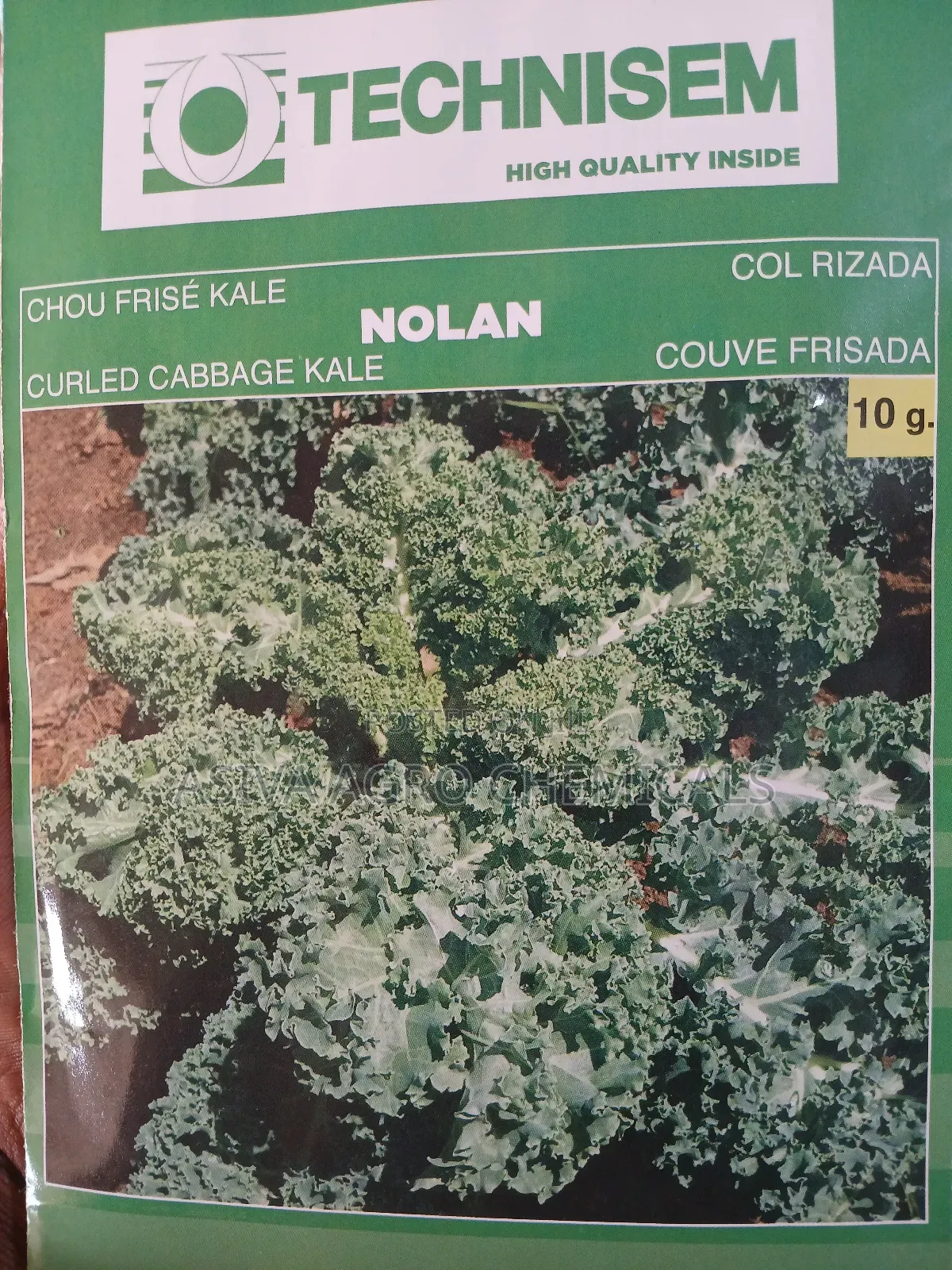 Kale Seeds