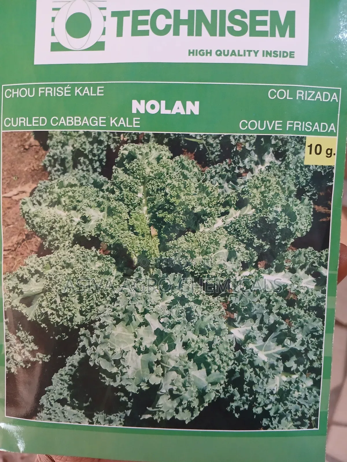 Kale Seeds