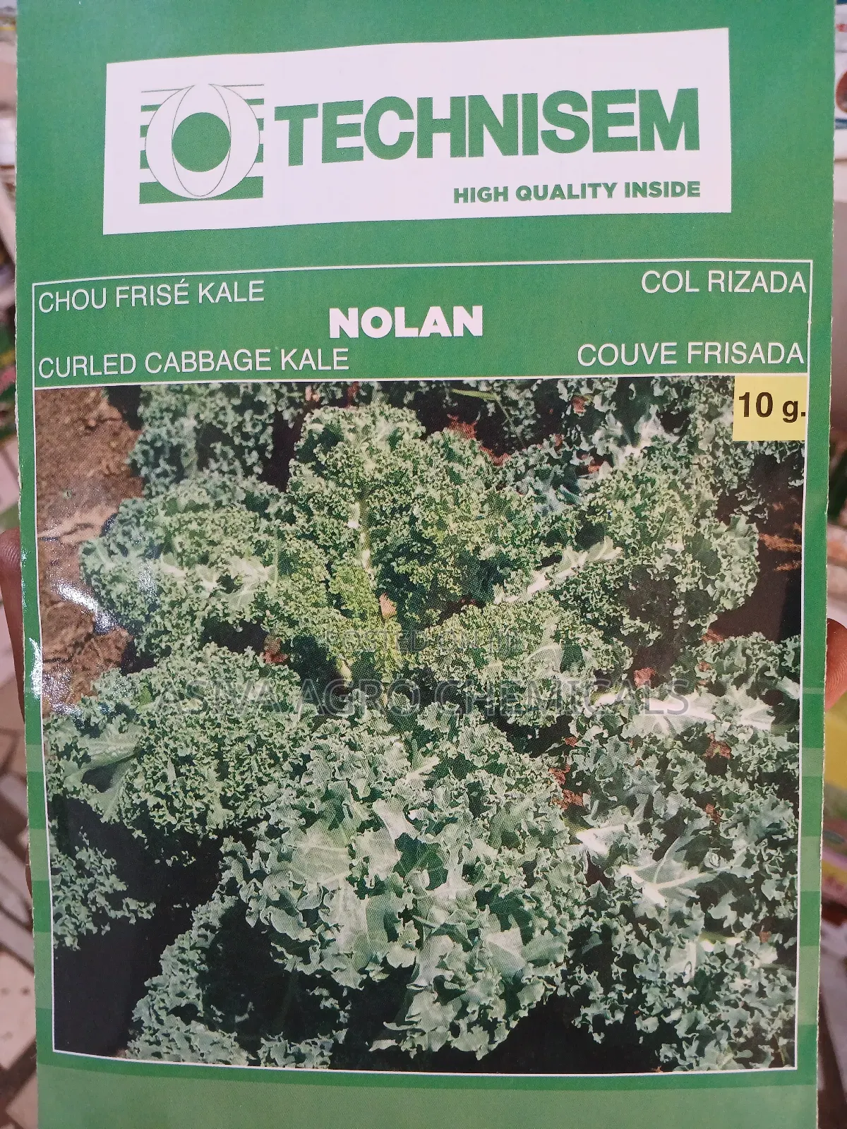 Kale Seeds