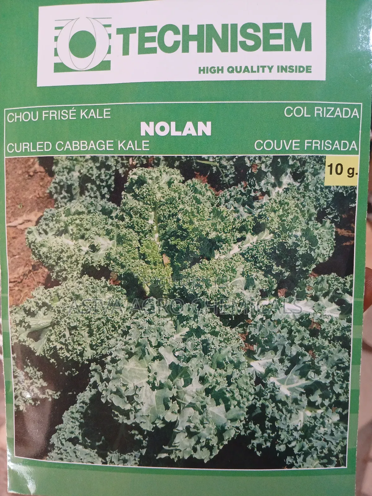 Kale Seeds
