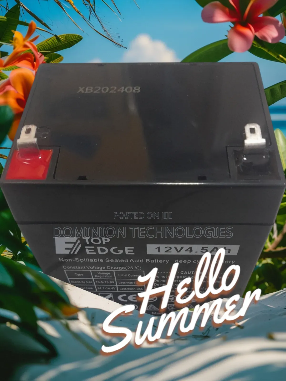 Top Edge 12V 4.5ah UPS Battery