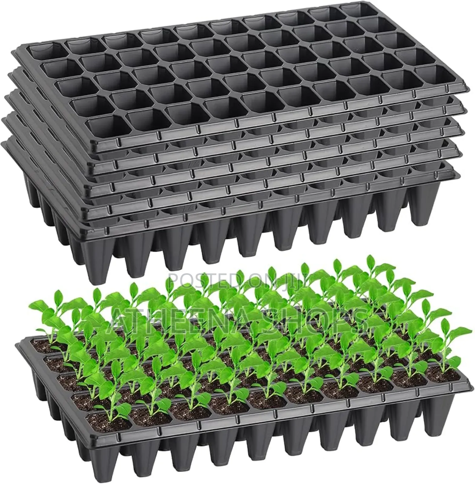 Seed Nursing Tray. Wholesale... 72 Cells And 128 Cells)