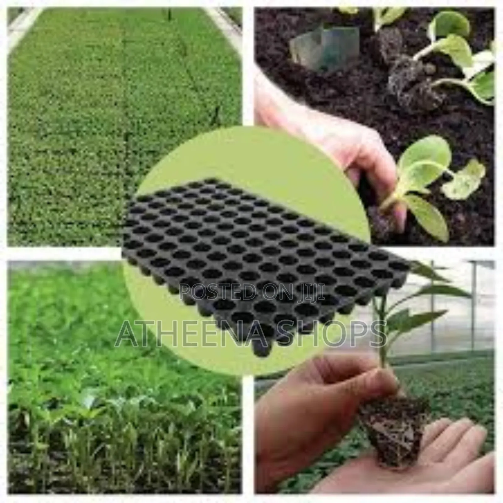 Seed Nursing Tray Good Quality