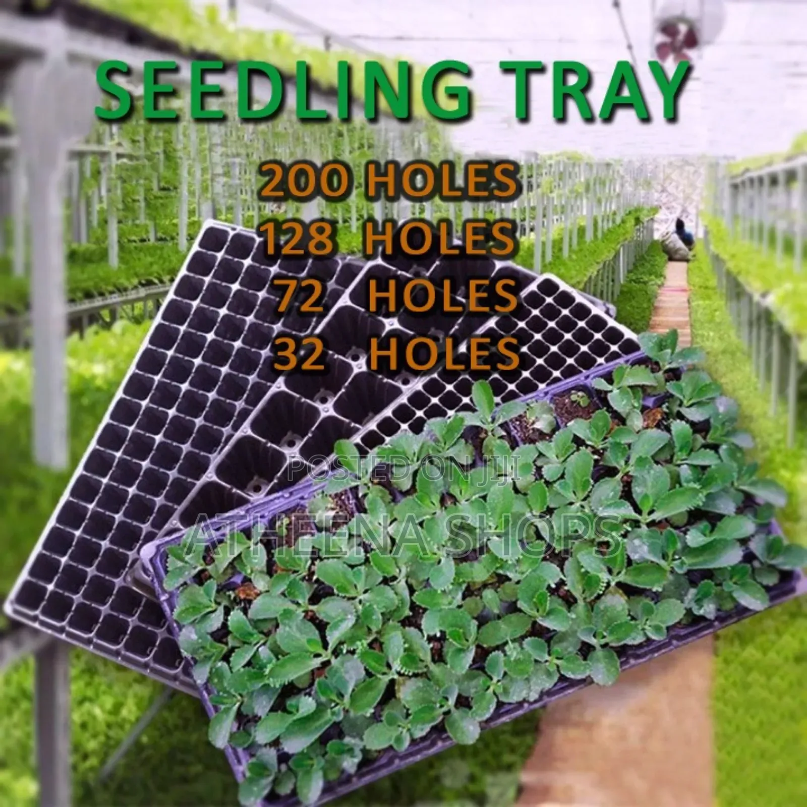 Seed Nursing Tray Good Quality