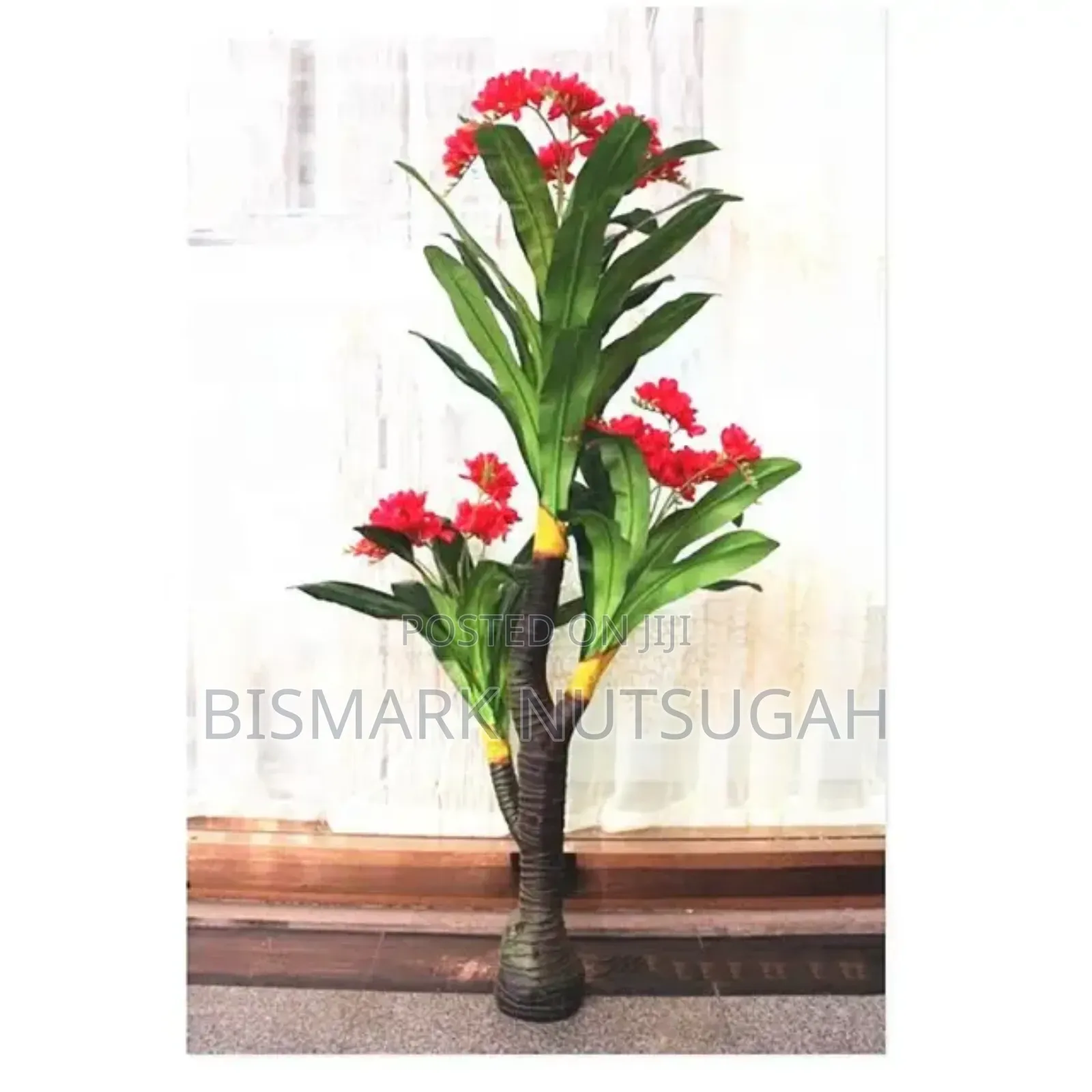 Plant For Sale