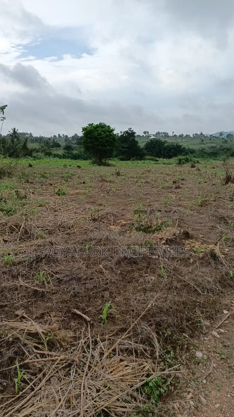 Archers of Land for Sale at Obom