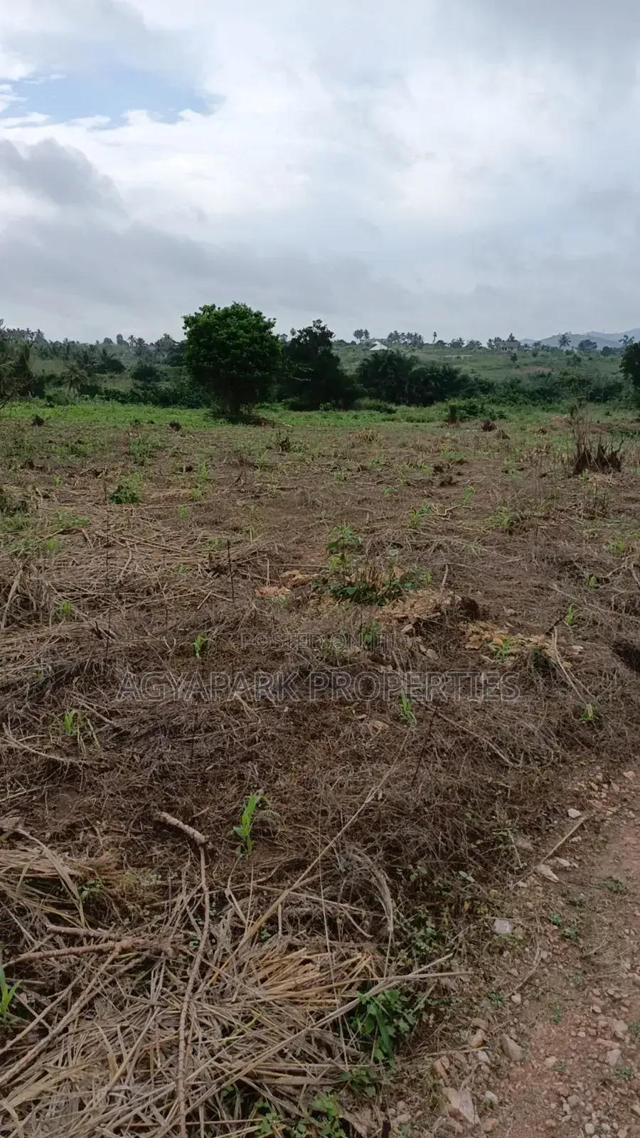 Archers of Land for Sale at Obom
