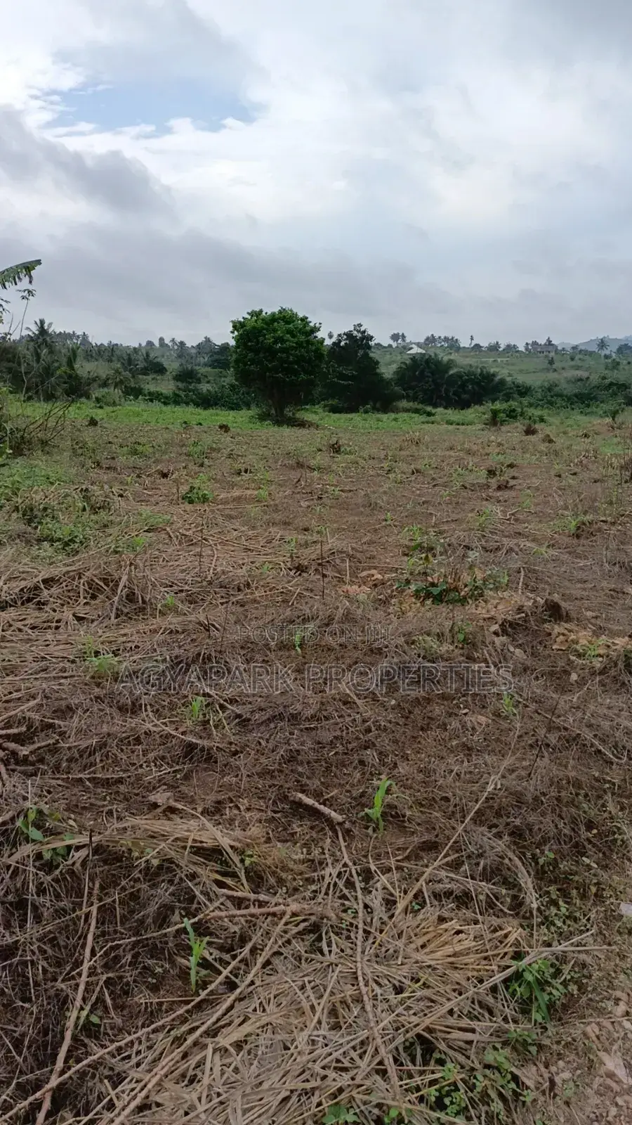 Archers of Land for Sale at Obom