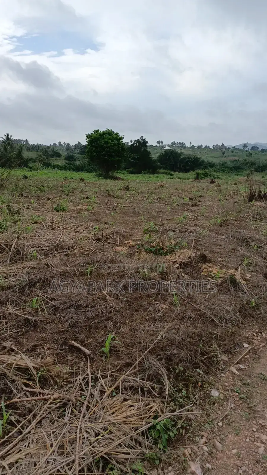 Archers of Land for Sale at Obom