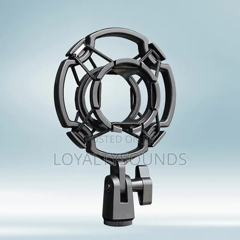 Plastic Mic Holder