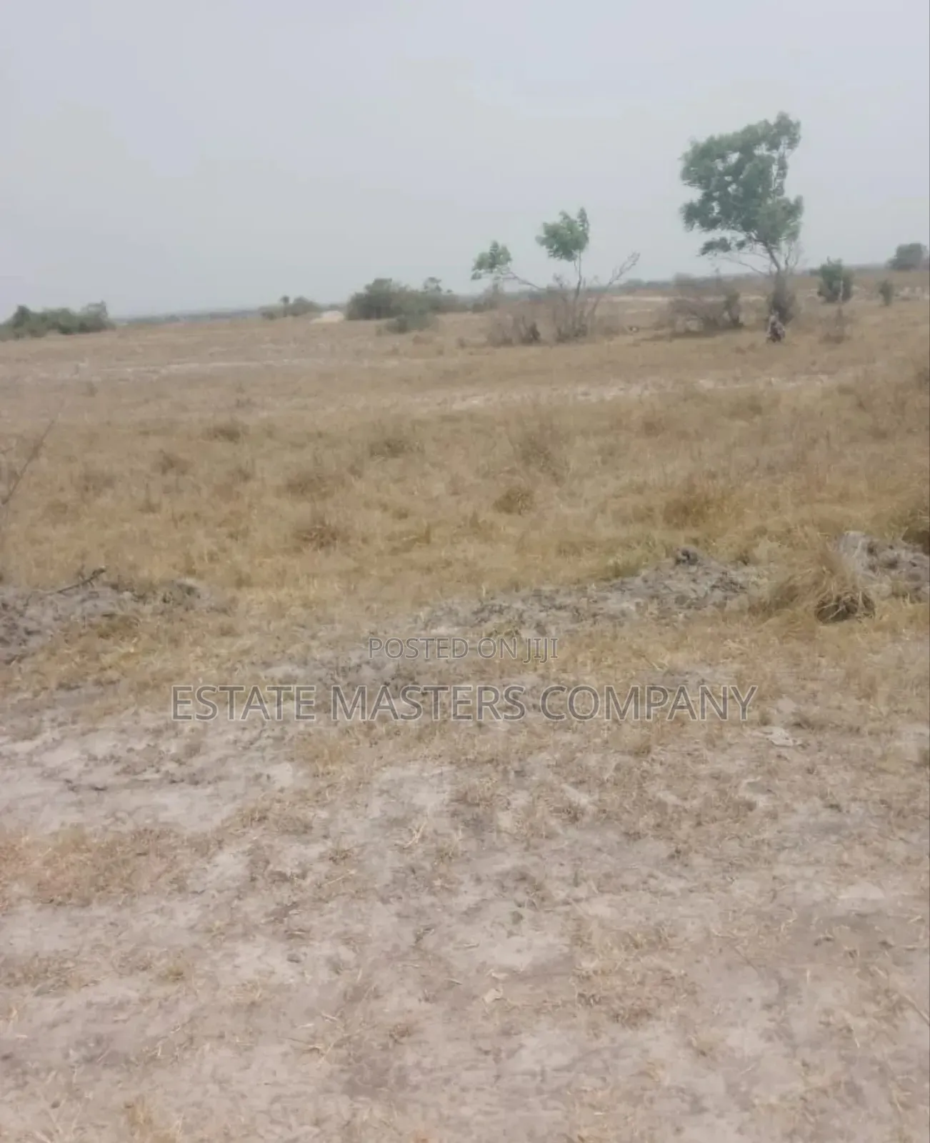 Buy Land From Us and Join the Team of Joy